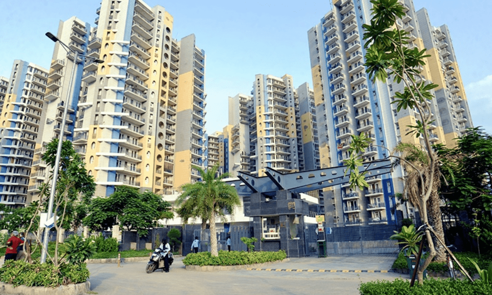Investment consultancy Gurgaon